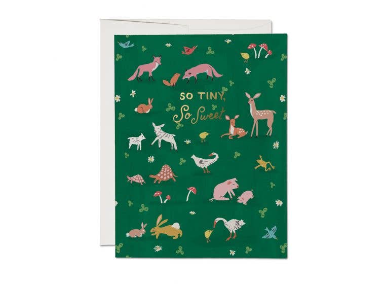 Tiny Animals Baby - Greeting Card